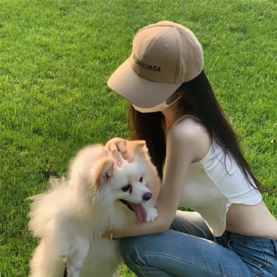 解构哈利